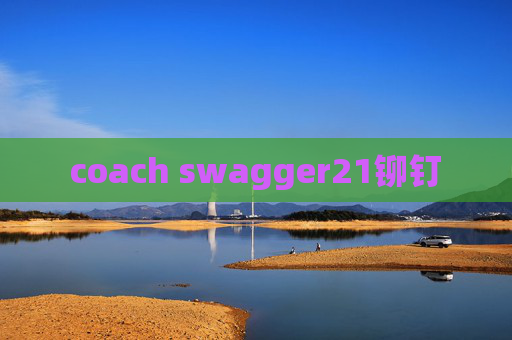 coach swagger21铆钉